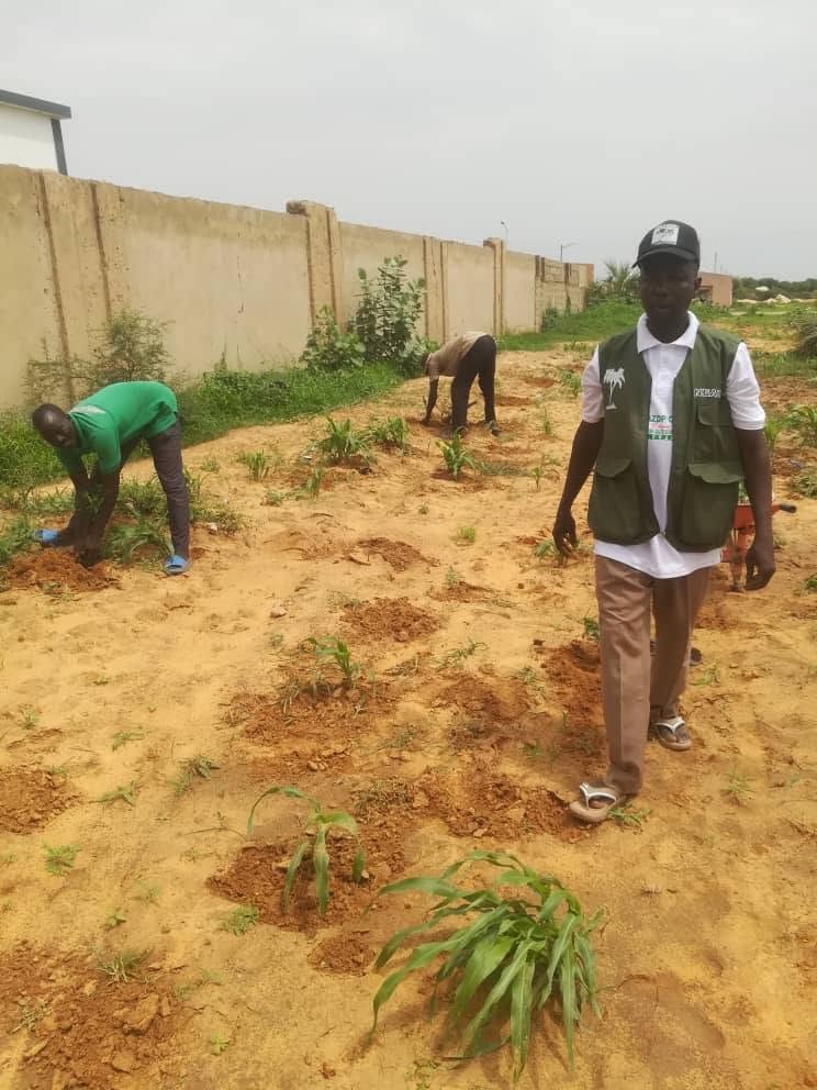 NEAZDP and Federal University Gashua establish a 6km shelterbelt plantation under the Green Code Initiative — every tree coded with its planter, species and ecological value.